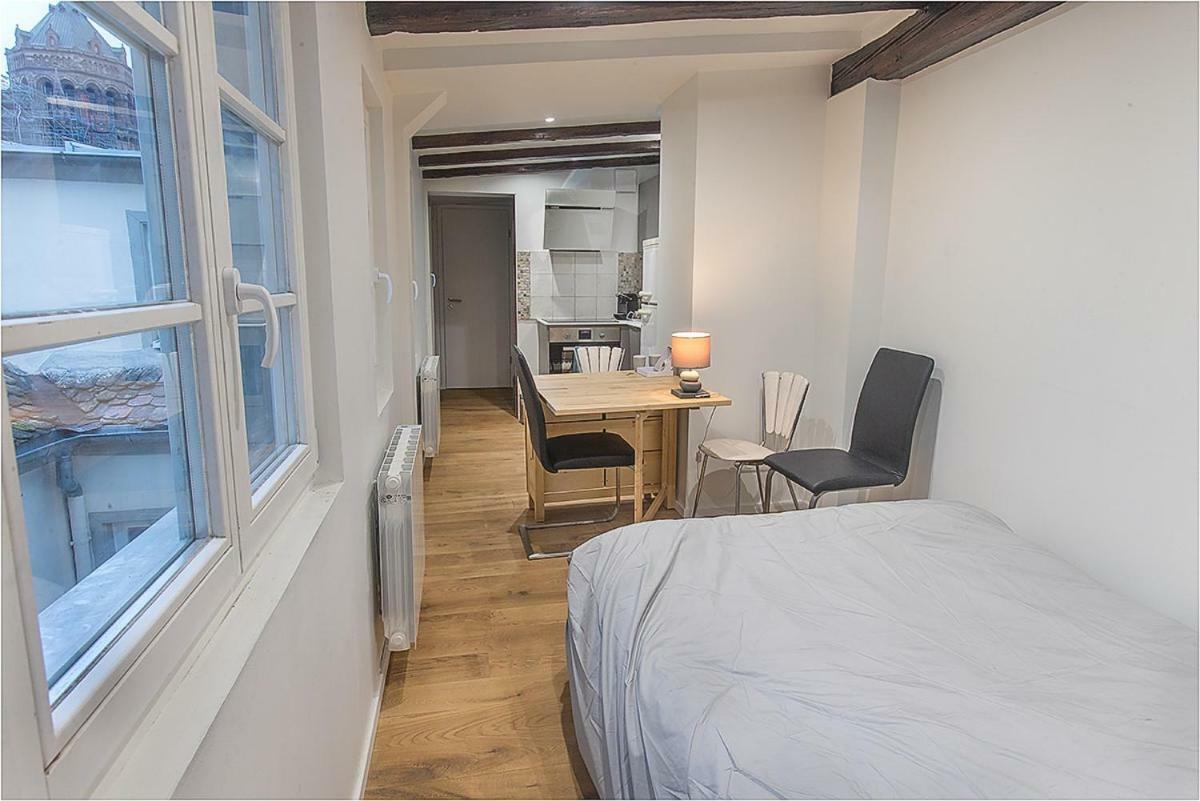 Apartmán L'Oeil Sur La Fleche Štrasburk Exteriér fotografie