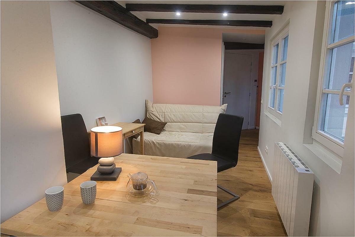 Apartmán L'Oeil Sur La Fleche Štrasburk Exteriér fotografie